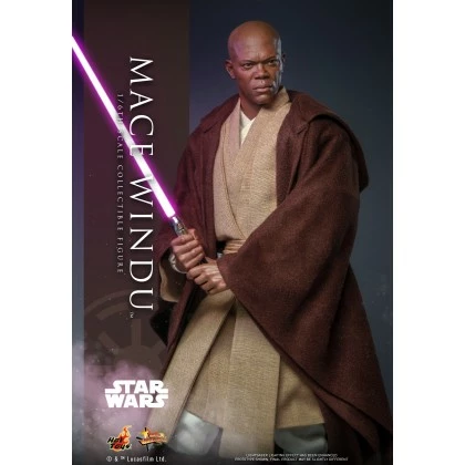 Mace Windu - Hot Toys MMS681 Star Wars: Attack Of The Clones 1/6th Scale Collectible Figure 3 Mace Windu - Hot Toys MMS681 Star Wars: Attack Of The Clones 1/6th Scale Collectible Figure
