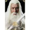 Gandalf The White & Shadow Fax - Asmus Toys LOTR003 1/6th Scale Collectible Figure