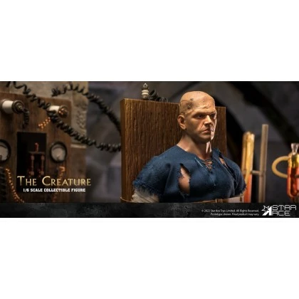 Frankenstein (Normal Version) - Star Ace Toys 1/6th Scale The Creature 6 Frankenstein (Normal Version) - Star Ace Toys 1/6th Scale The Creature - Image 4