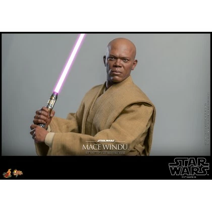Mace Windu - Hot Toys MMS681 Star Wars: Attack Of The Clones 1/6th Scale Collectible Figure 6 Mace Windu - Hot Toys MMS681 Star Wars: Attack Of The Clones 1/6th Scale Collectible Figure - Image 4