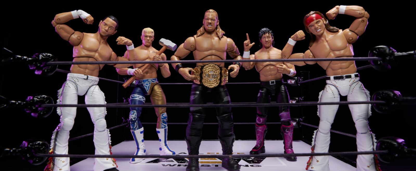 action_heroes_kaiju Sales Store -action_heroes_kaiju Sales Store AEW Action Figures Banner